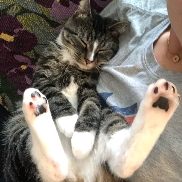 Meet your Posher, Rebecca - Picture 2 of 2